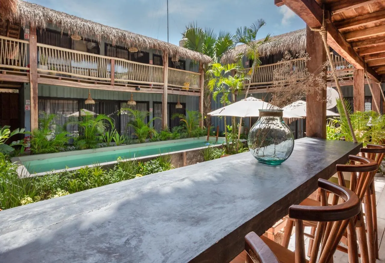 Meteora Stay & Coffeehouse Tulum Auberge de jeunesse