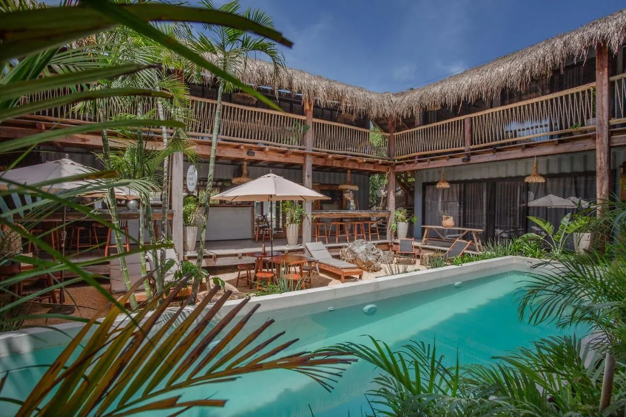 Meteora Stay & Coffeehouse Tulum Auberge de jeunesse