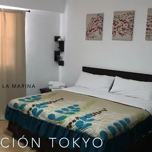 Cabo Tortuga Boutique Hotel Cabo San Lucas