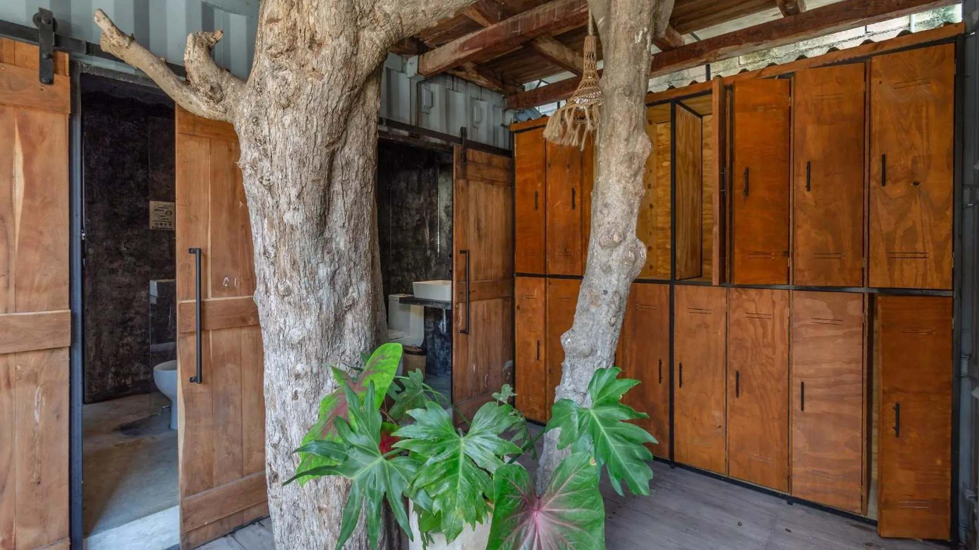 Albergue Meteora Stay & Coffeehouse Tulum